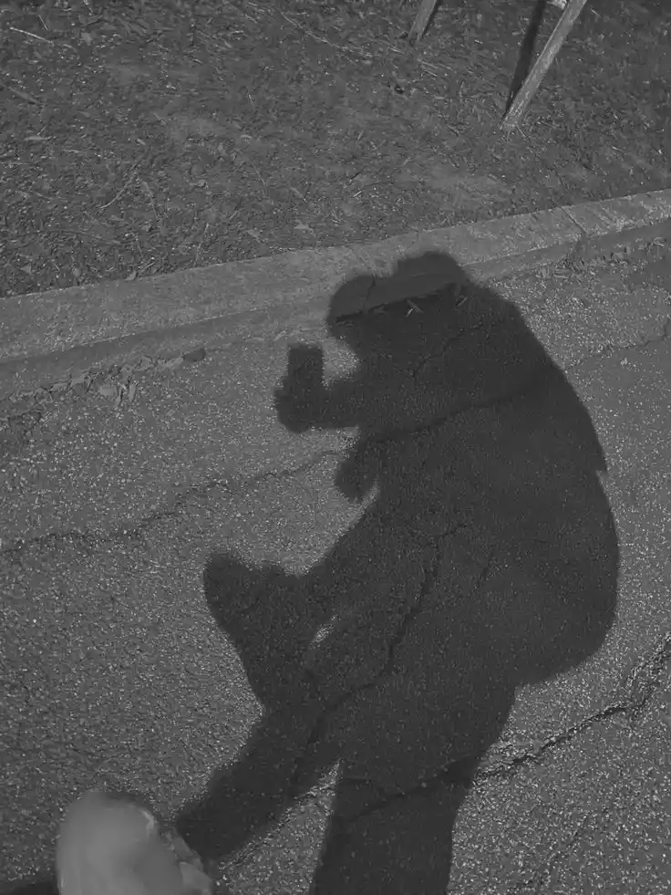 couple-dp-for-whatsapp