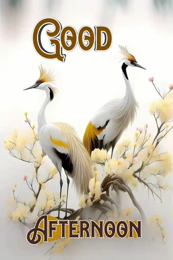 beautiful-good-afternoon-images