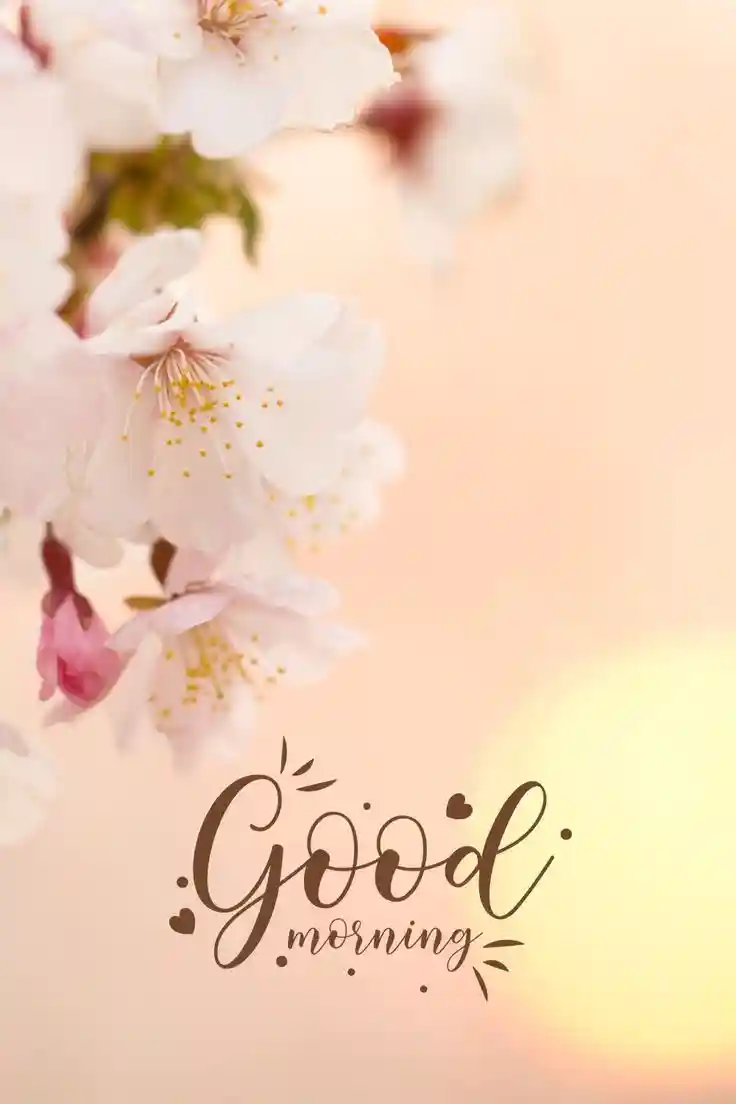 beautiful-good-morning-images
