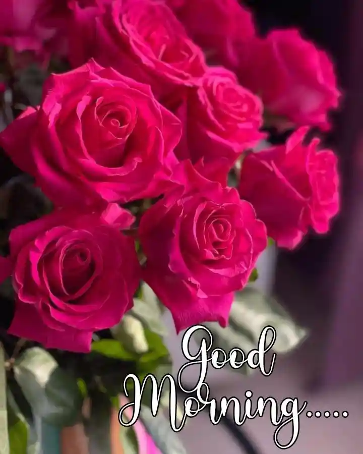 beautiful-good-morning-images