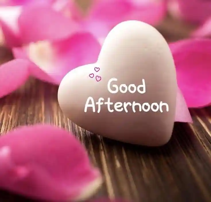 good-afternoon-flowers-images