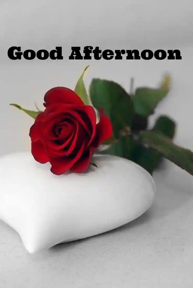 good-afternoon-images-for-whatsapp