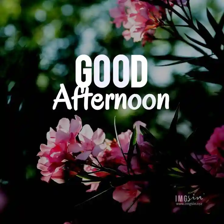 good-afternoon-love-images