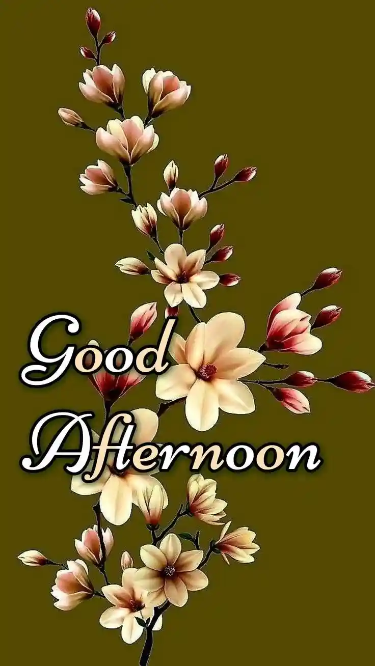 good-afternoon-pictures