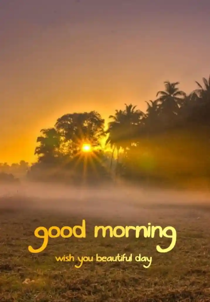 good-morning-flower-images