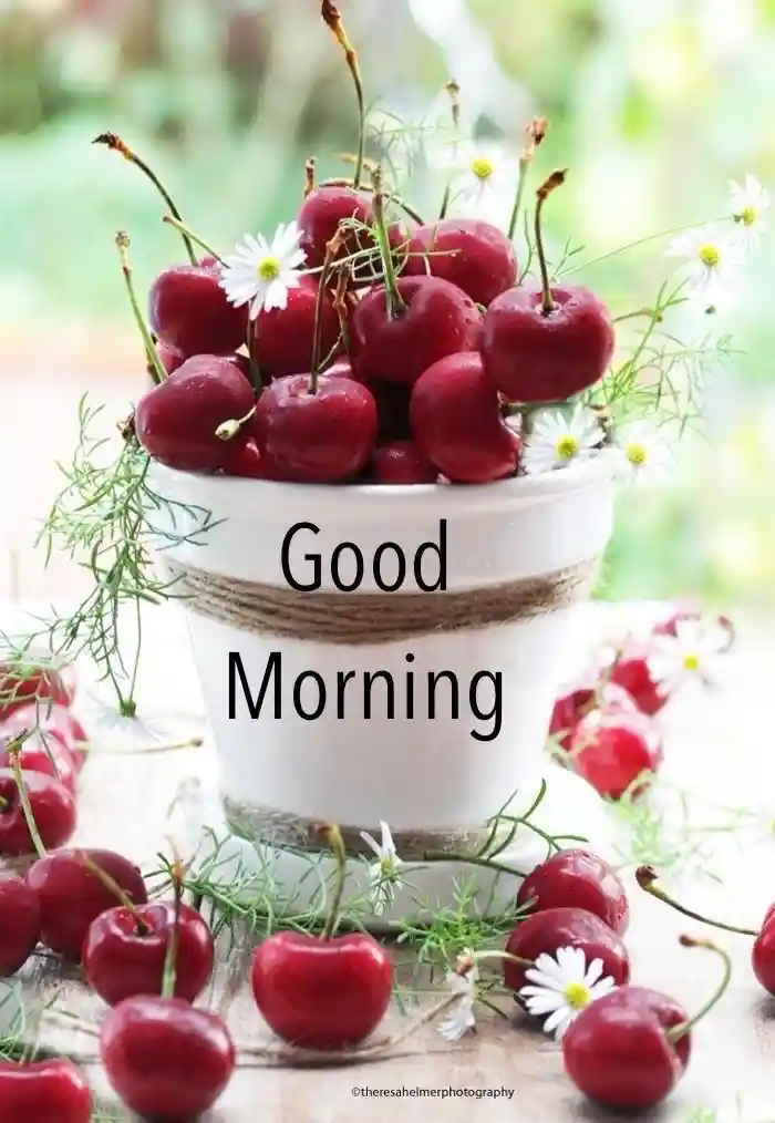 good-morning-flower-images