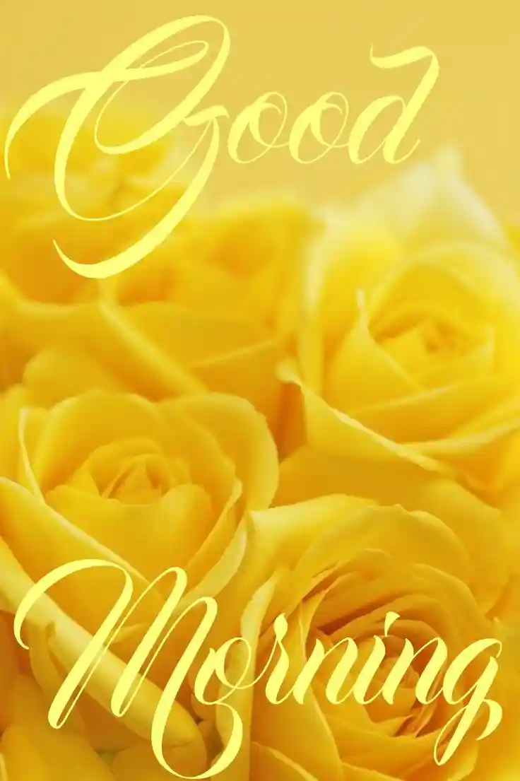 good-morning-images-for-whatsapp