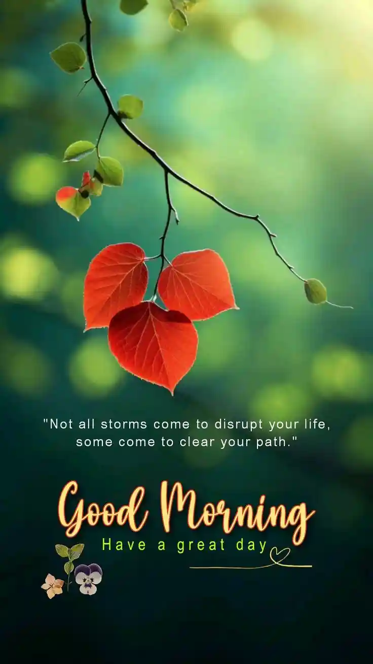 good-morning-pictures