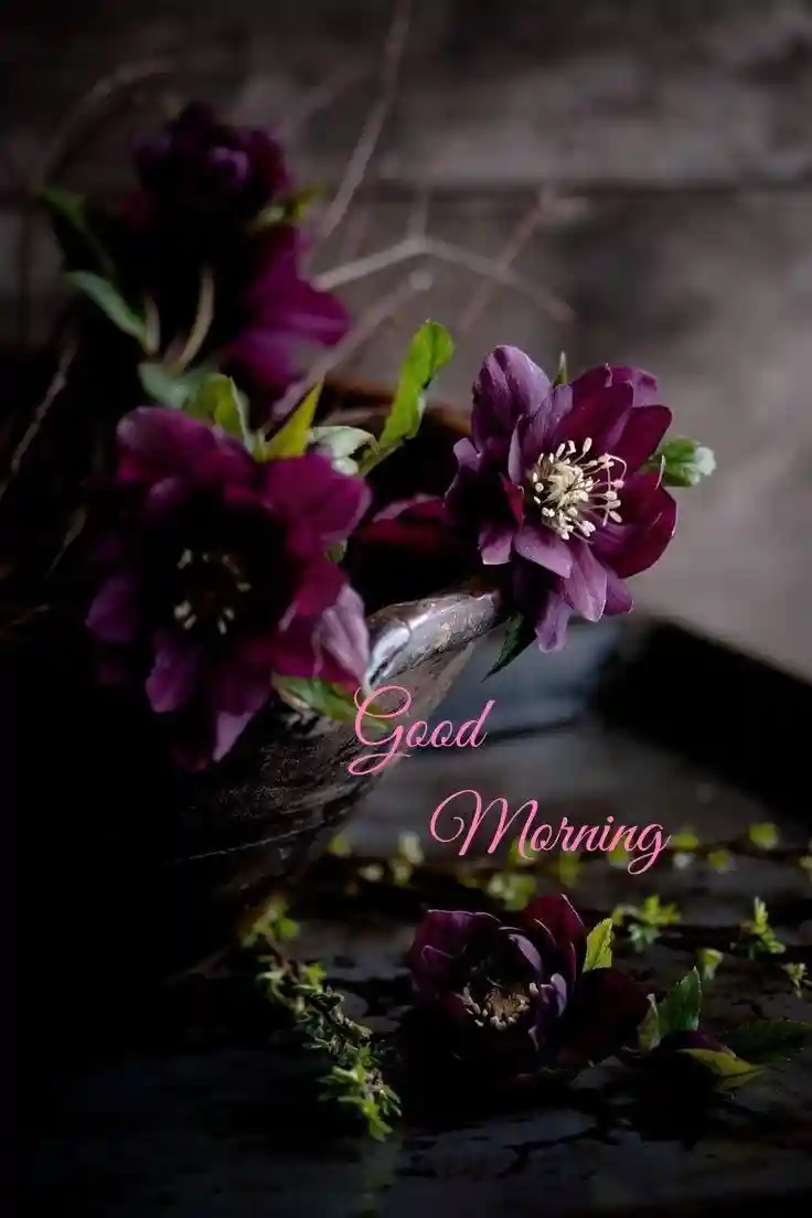 good-morning-pictures