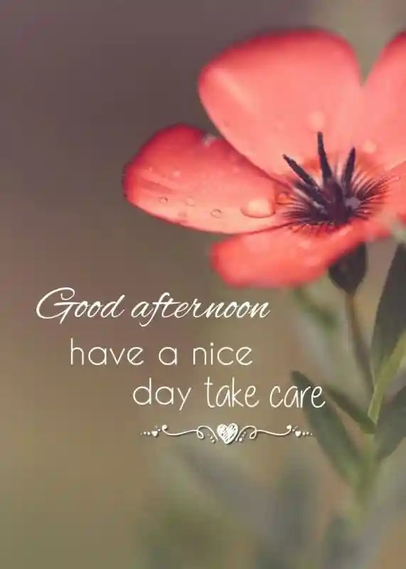 instagram-good-afternoon-images