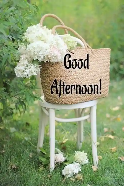 lovely-good-afternoon-images