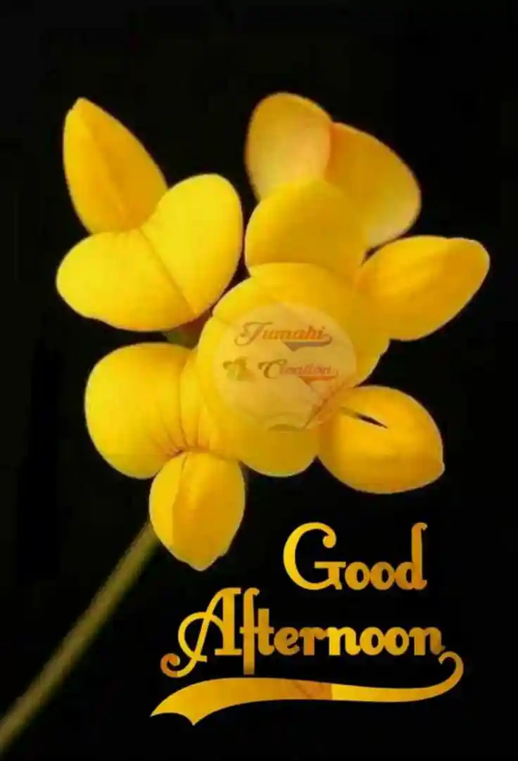 lovely-good-afternoon-images