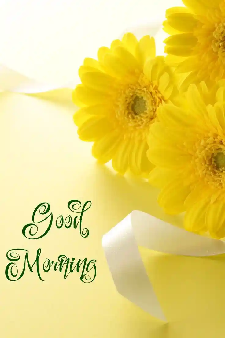 new-good-morning-images