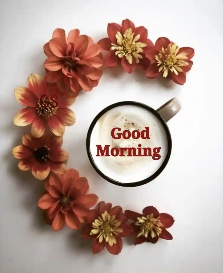 new-good-morning-images